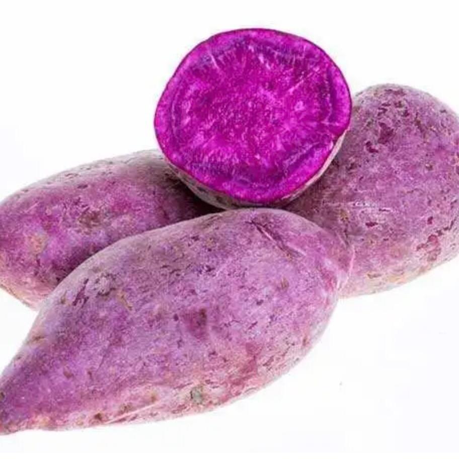 西安嘉禾鲜农业科技有限公司