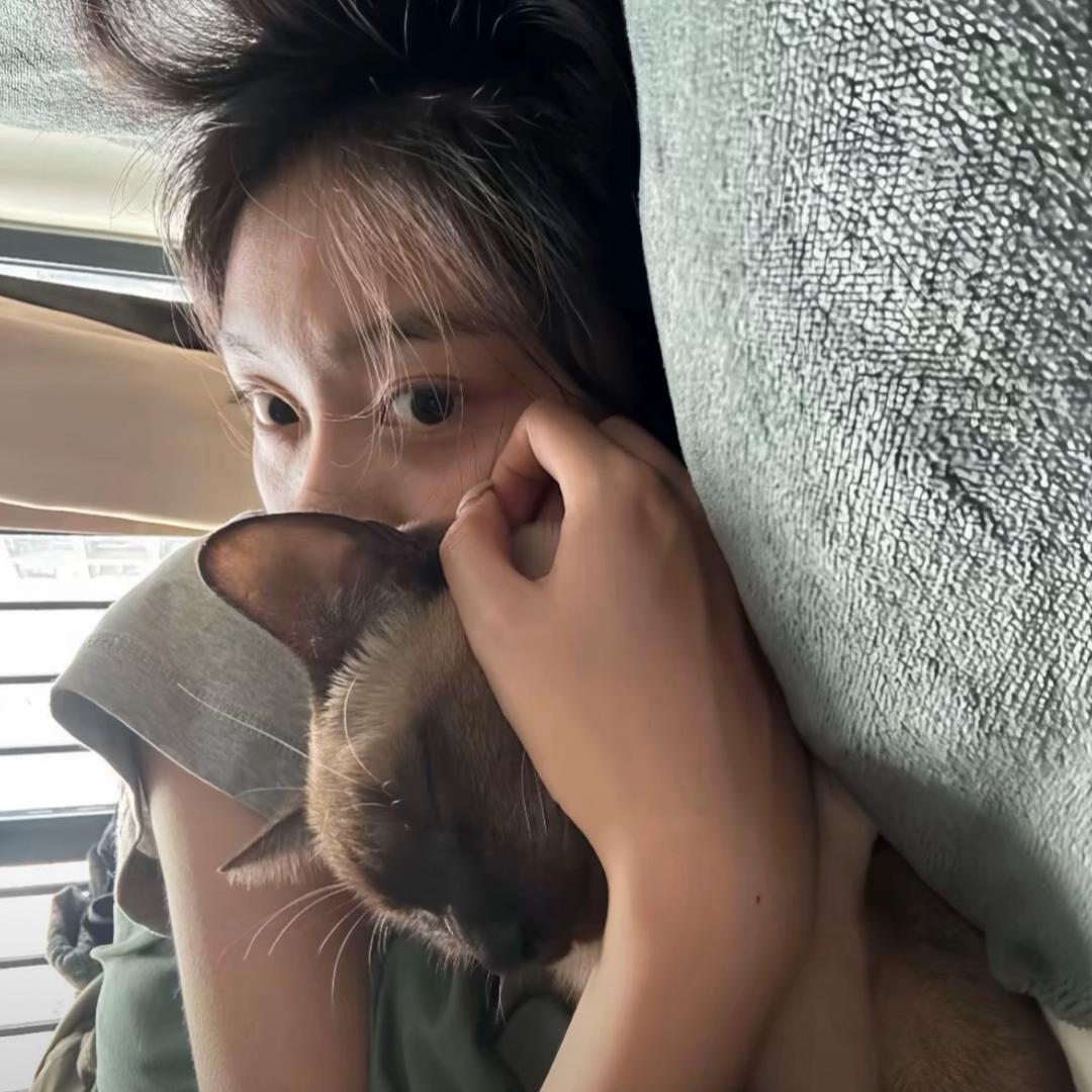 小羊咩咩