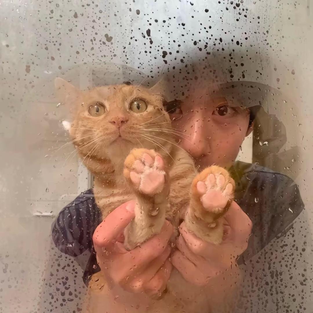 我恨有钱人