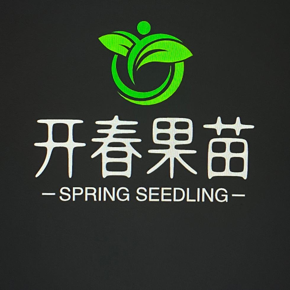 开春果苗