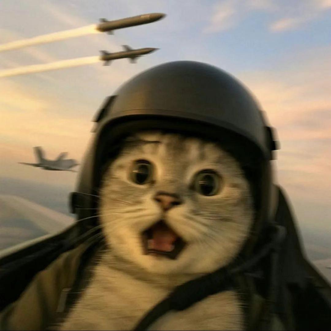 -靖
