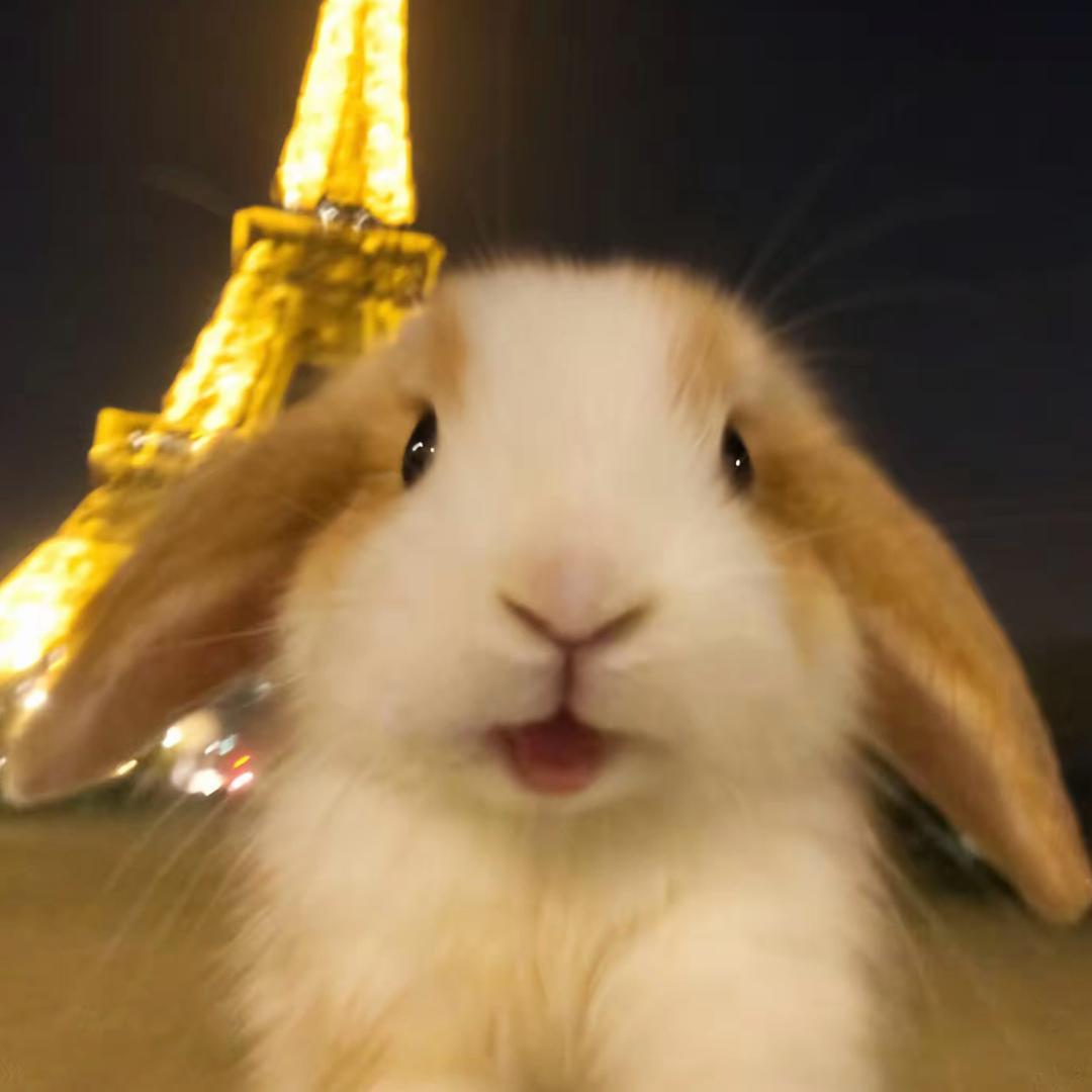 小傅