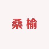 桑榆服配