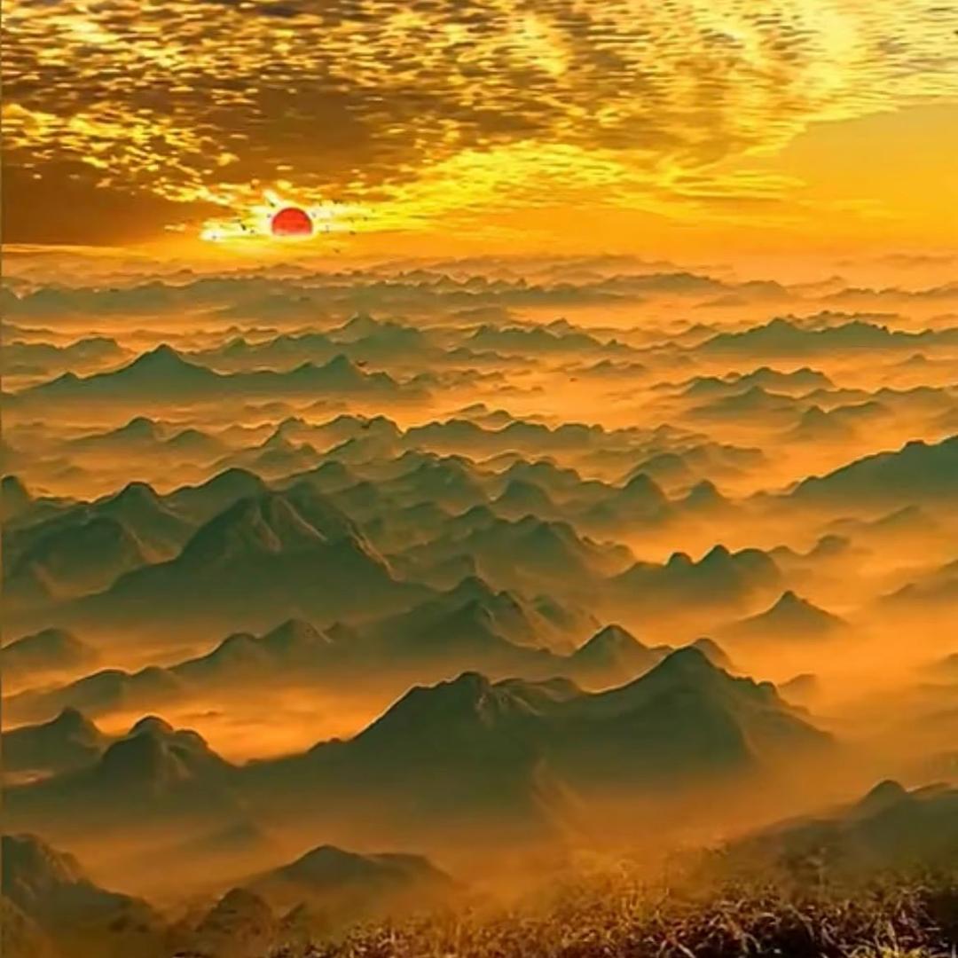 向天明