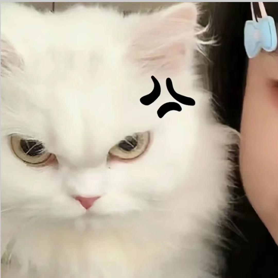 ㅤㅤ