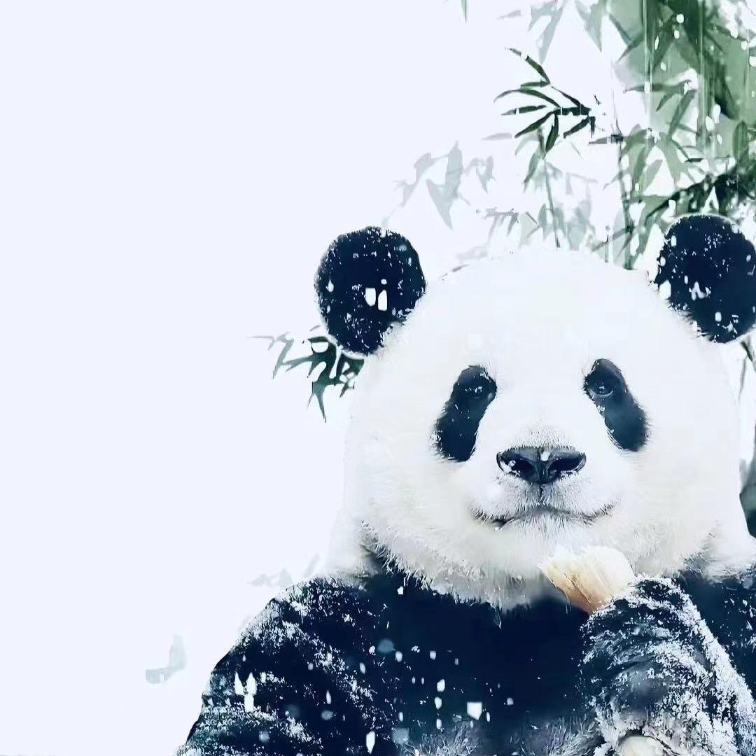谁用了我的史努比啊