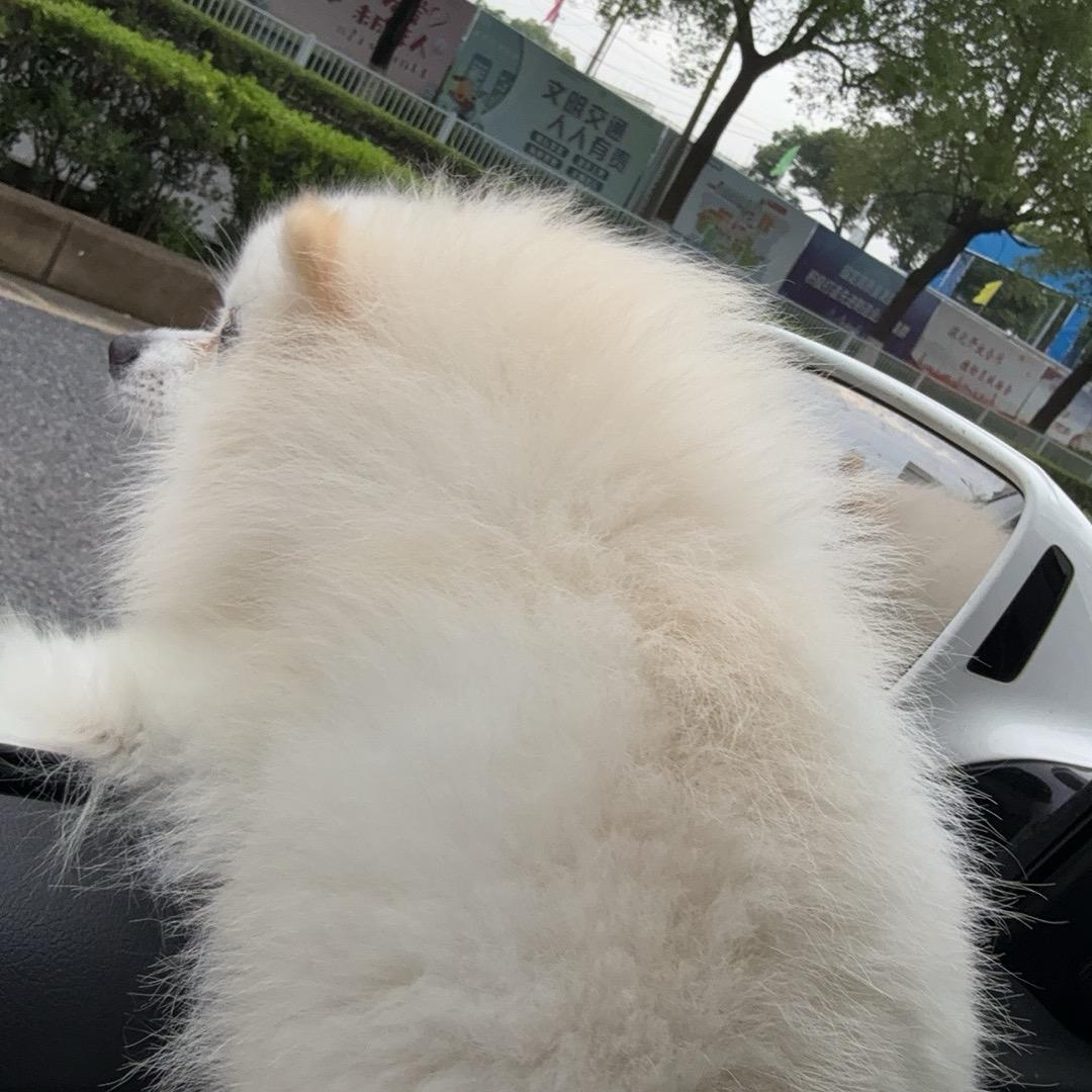 阿木林
