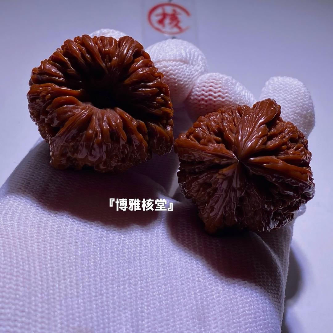 童主角高奢文玩