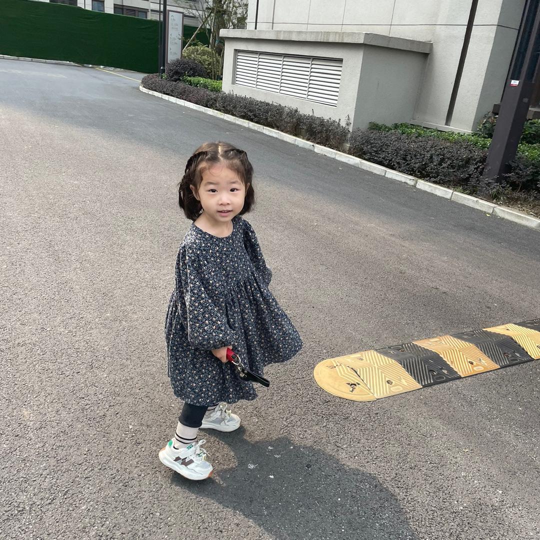 桐宝