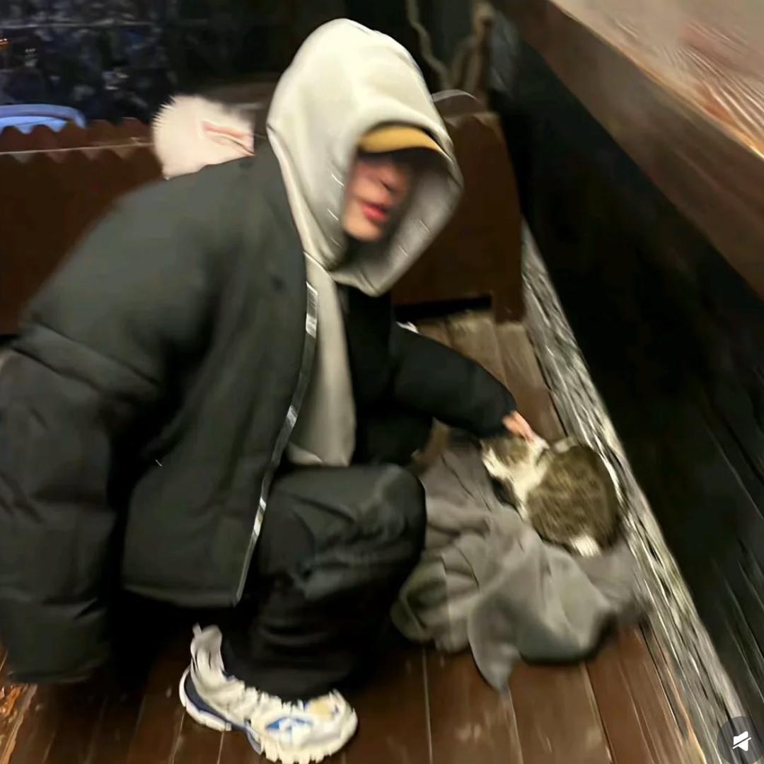 有啥可看的