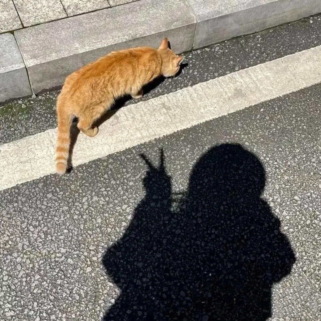 少女@