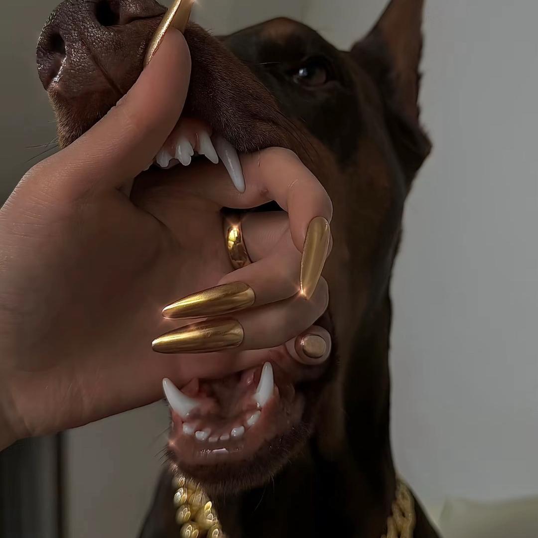 秋
