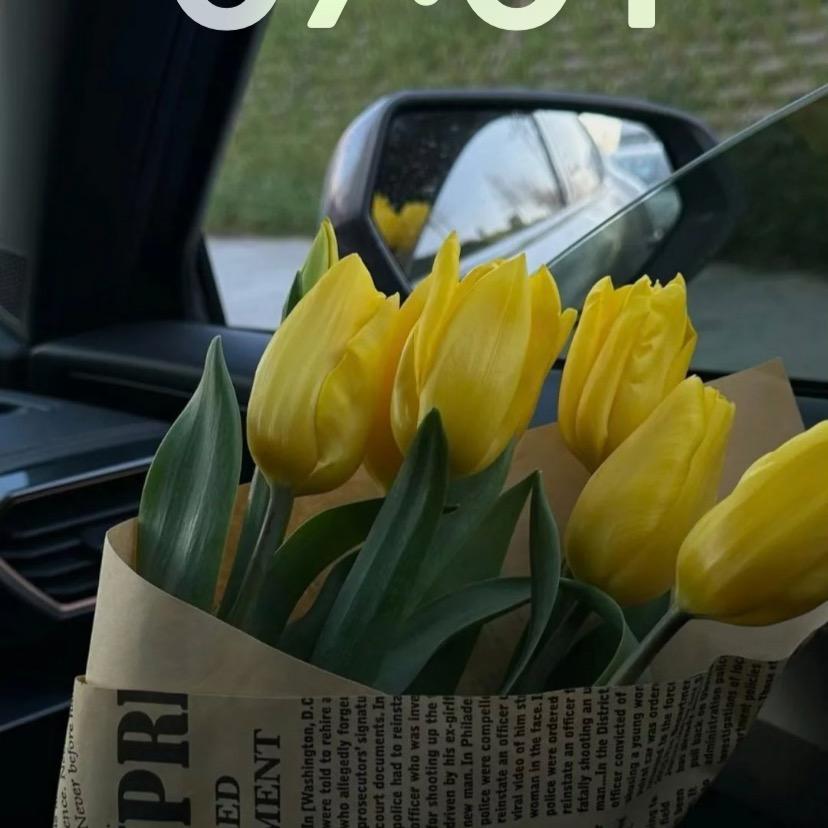 爱吃香菜放臭屁