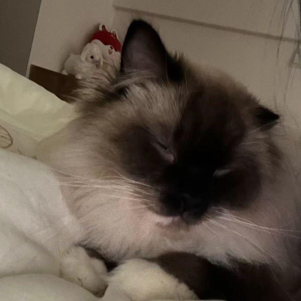 每天都是最后一天.