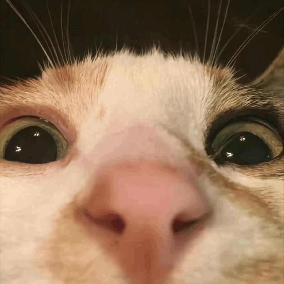 莫再问