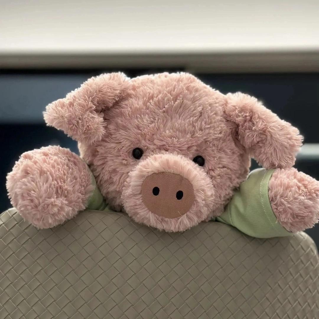 🌈春风十里🌈