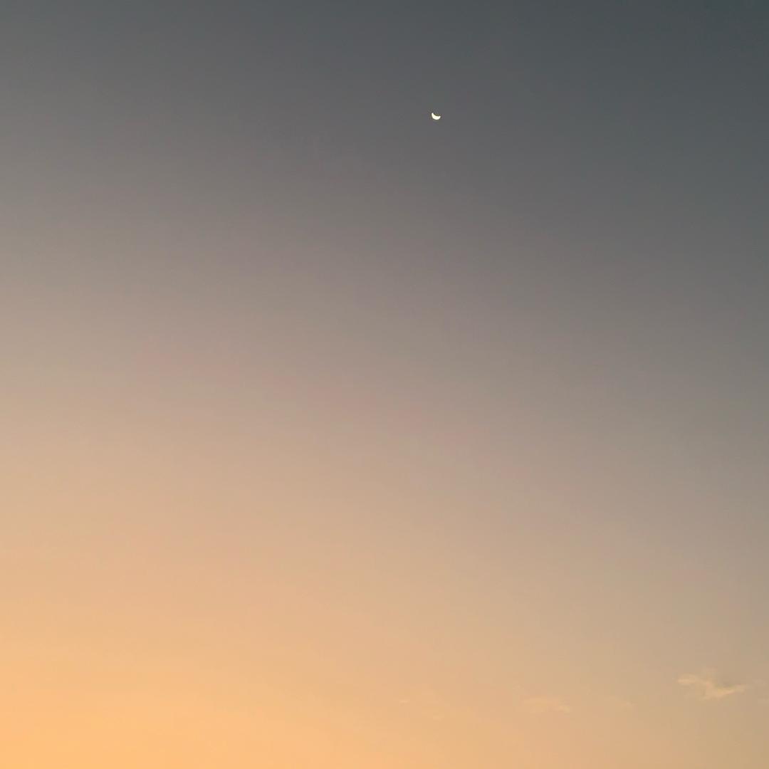 是大大大大王呀