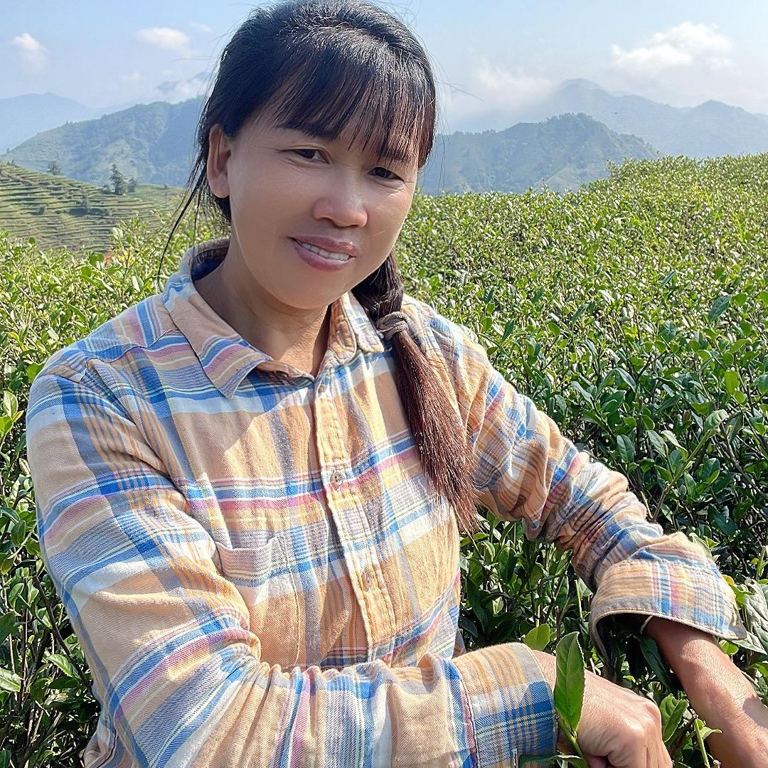灵香淡雅茗茶
