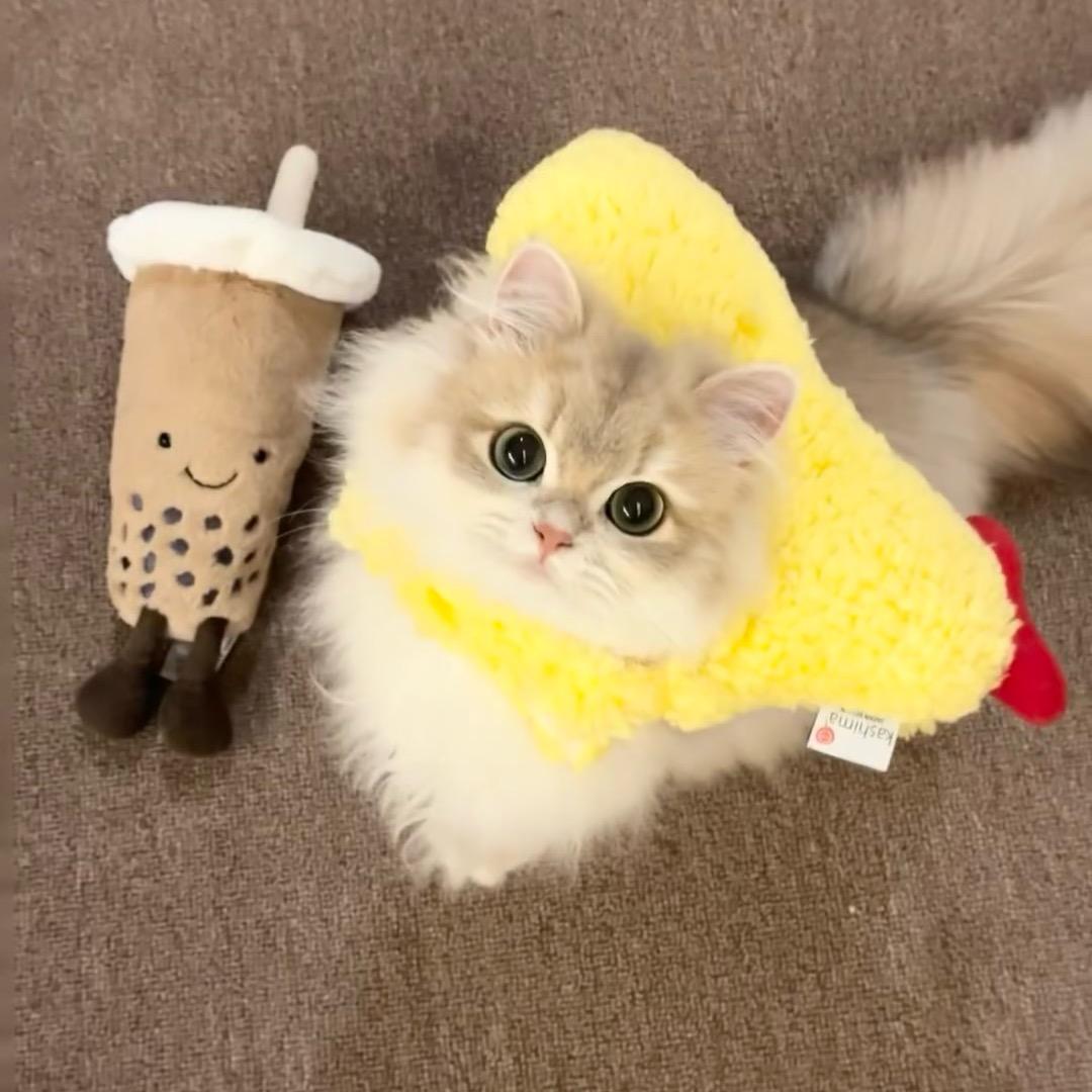 超级谜谜.