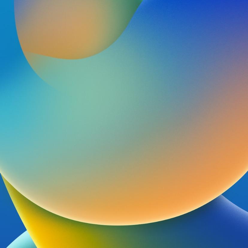 PORSCHE•᷄ࡇ•᷅