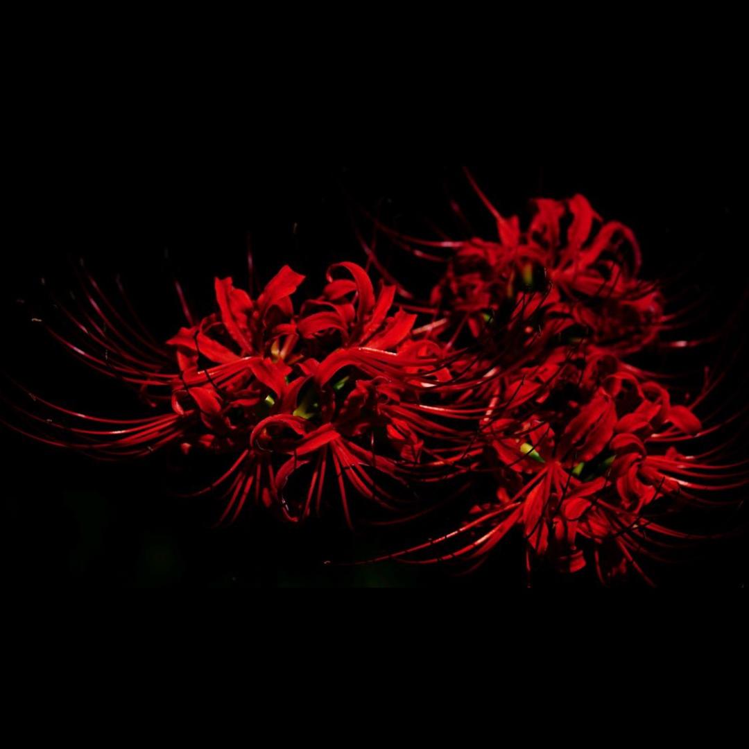 ღ᭄💞多财ξ多亿💞໑ຼ₀₂5