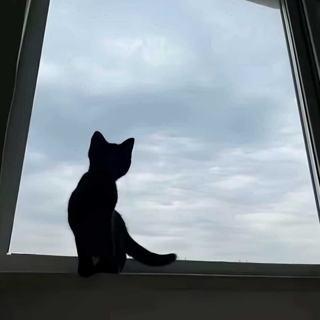 ·