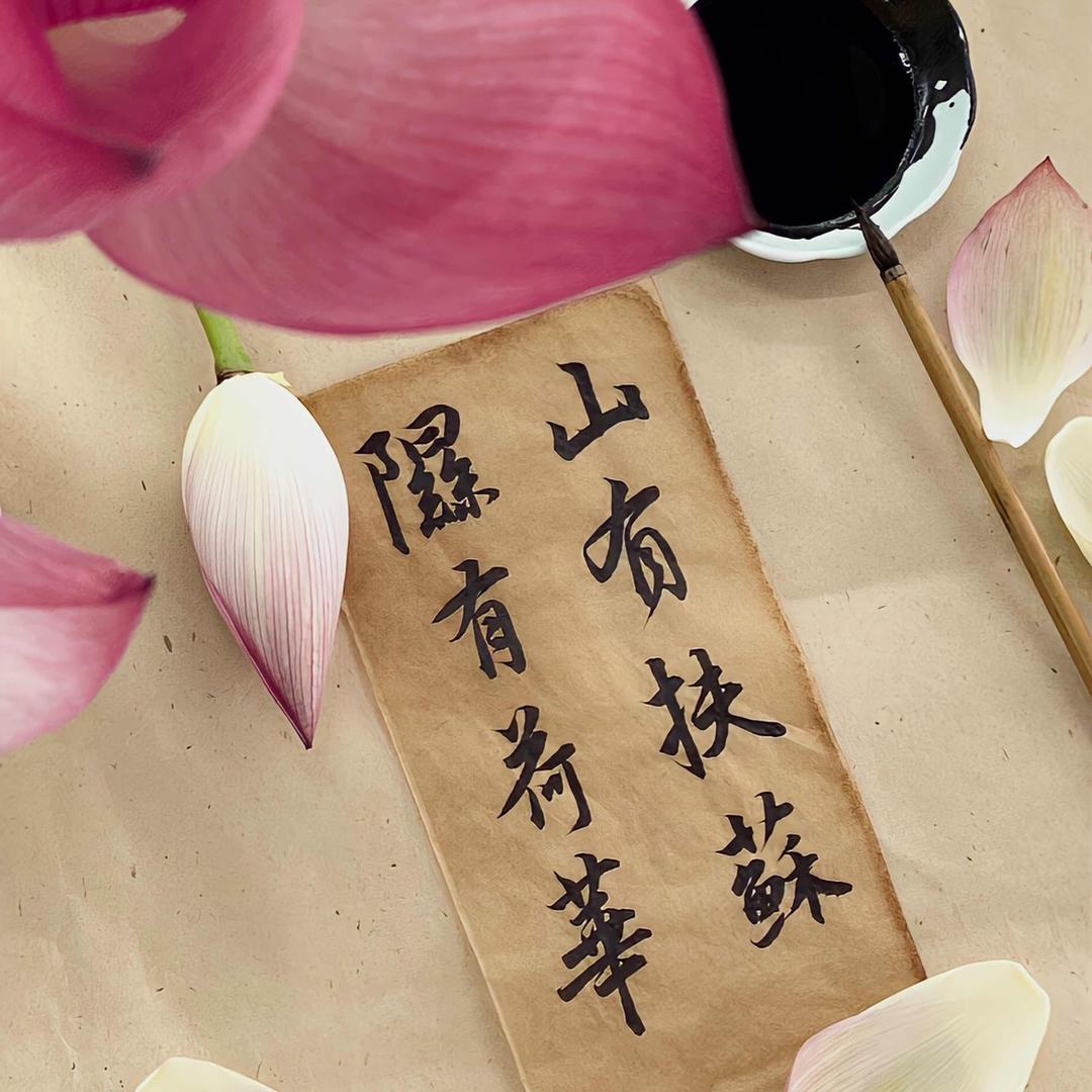 一念智即般若生.🪷