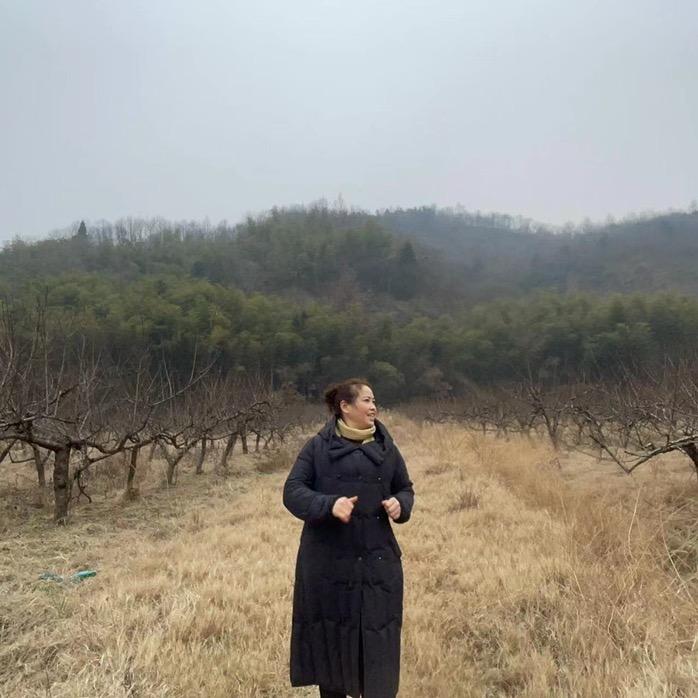 颍上古城镇大赵村云辉养殖场