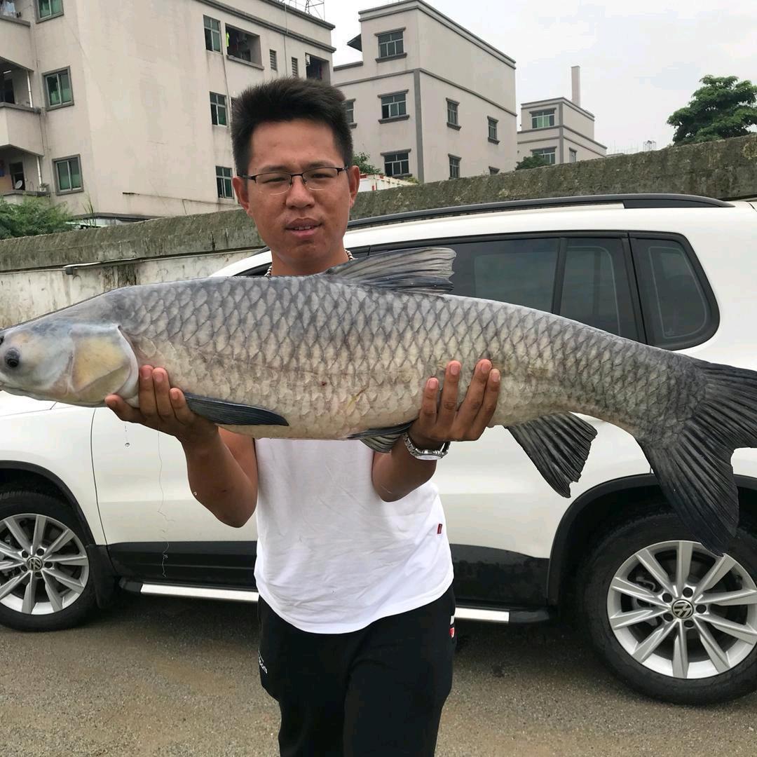 东莞市沙田渔缘钓具店