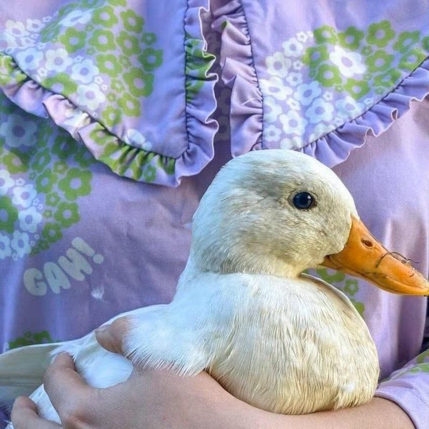 这个