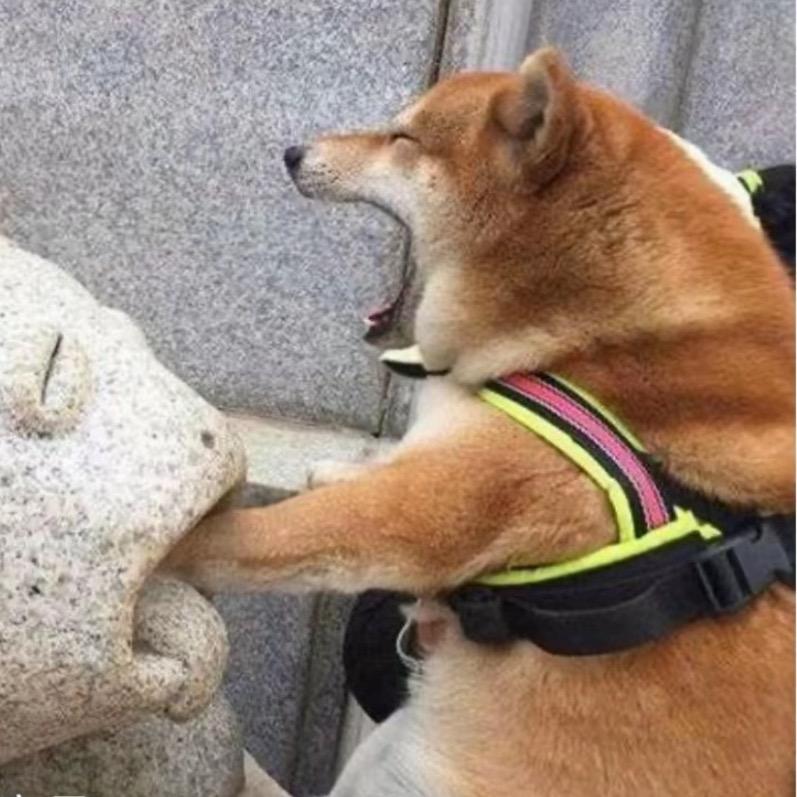 老神仙头像