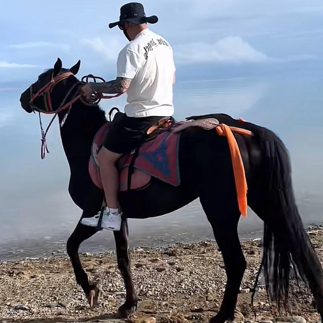 🦌丨鹿人甲丨🦌