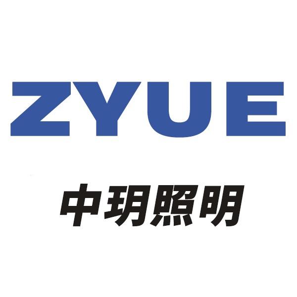 中玥照明企业店