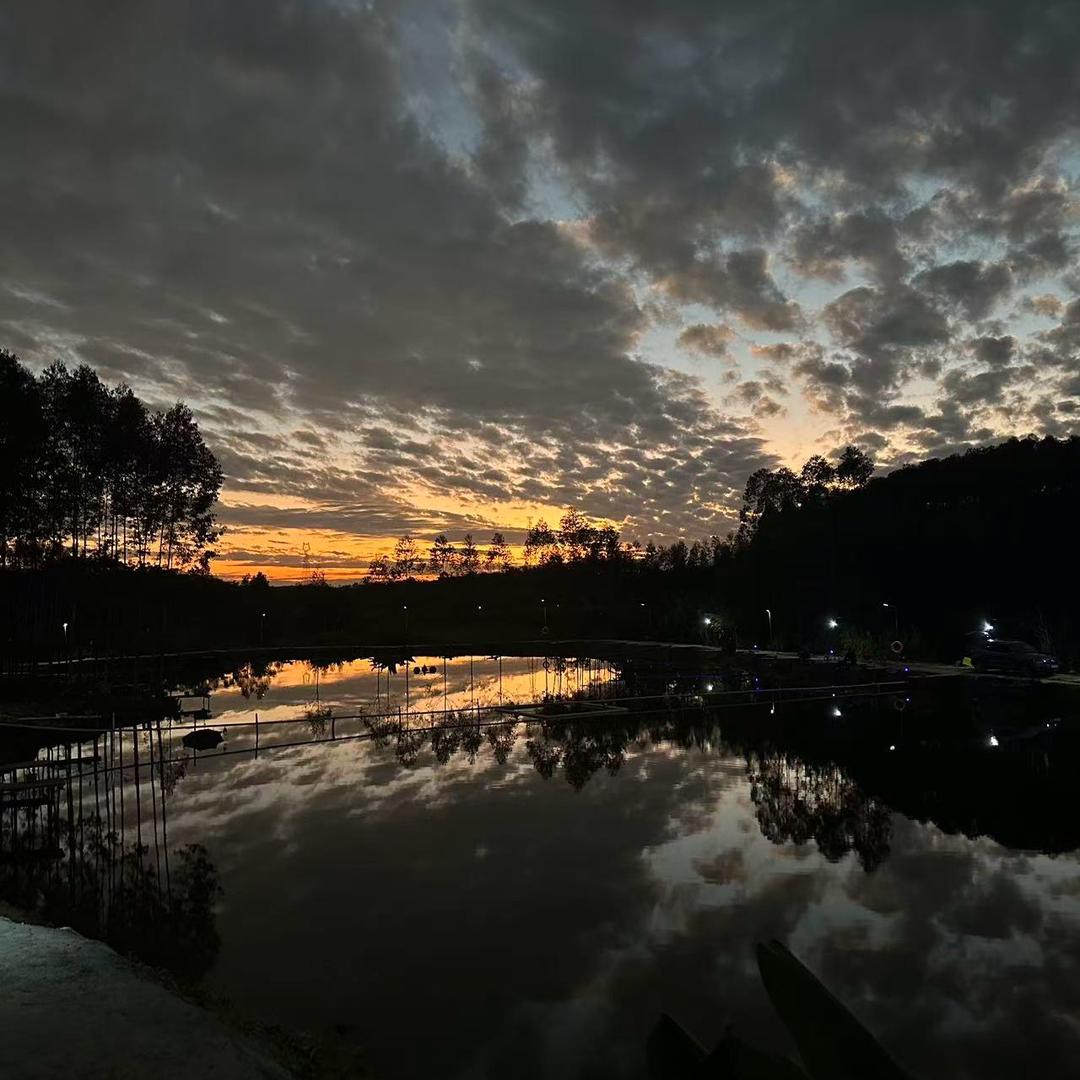 朝文休闲钓场🎣