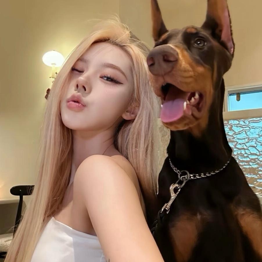 请叫我十三大王~