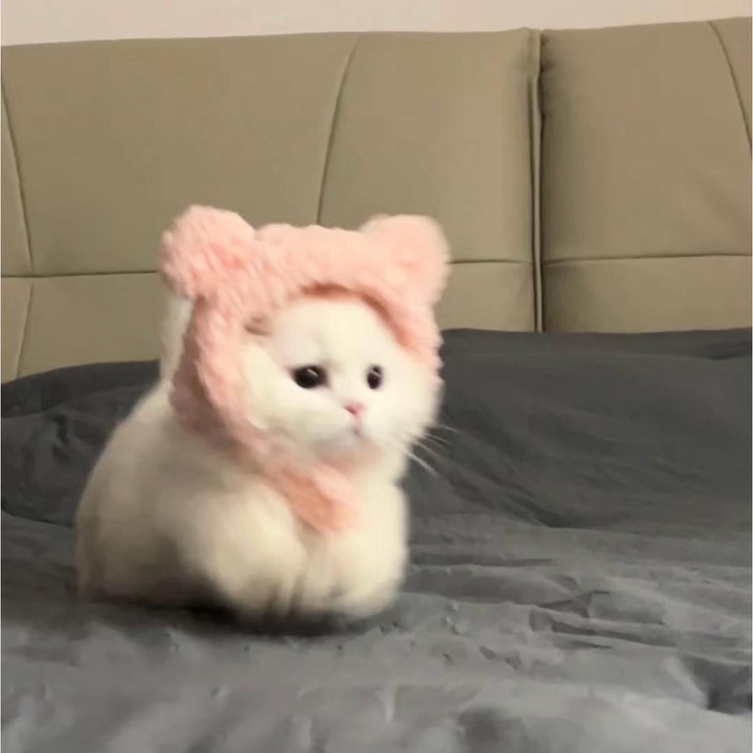 凌正