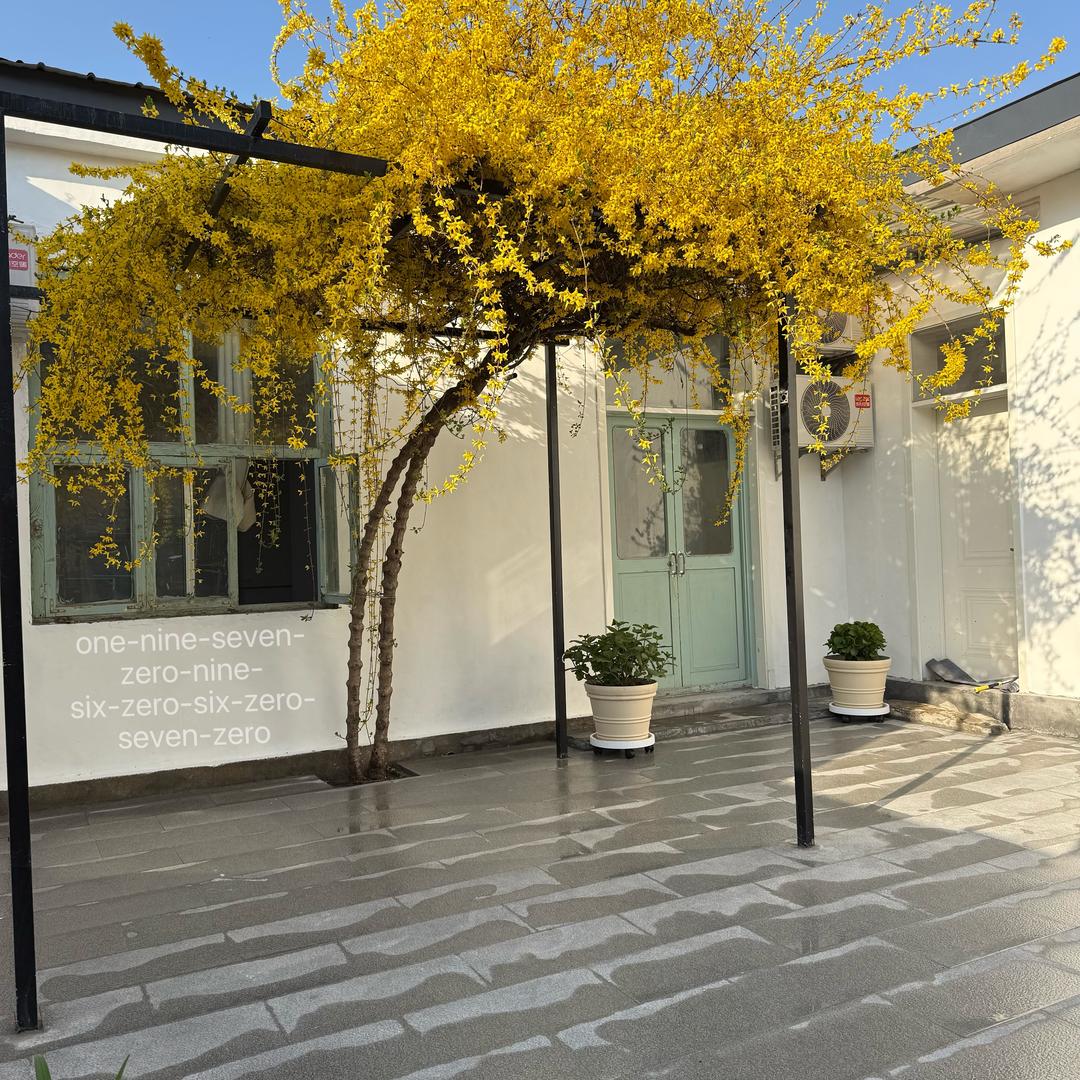 青州古城南巷小院民宿|租电动车商务车