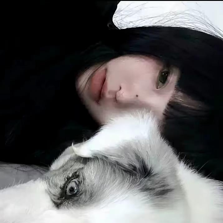 1️⃣听 耳 猫