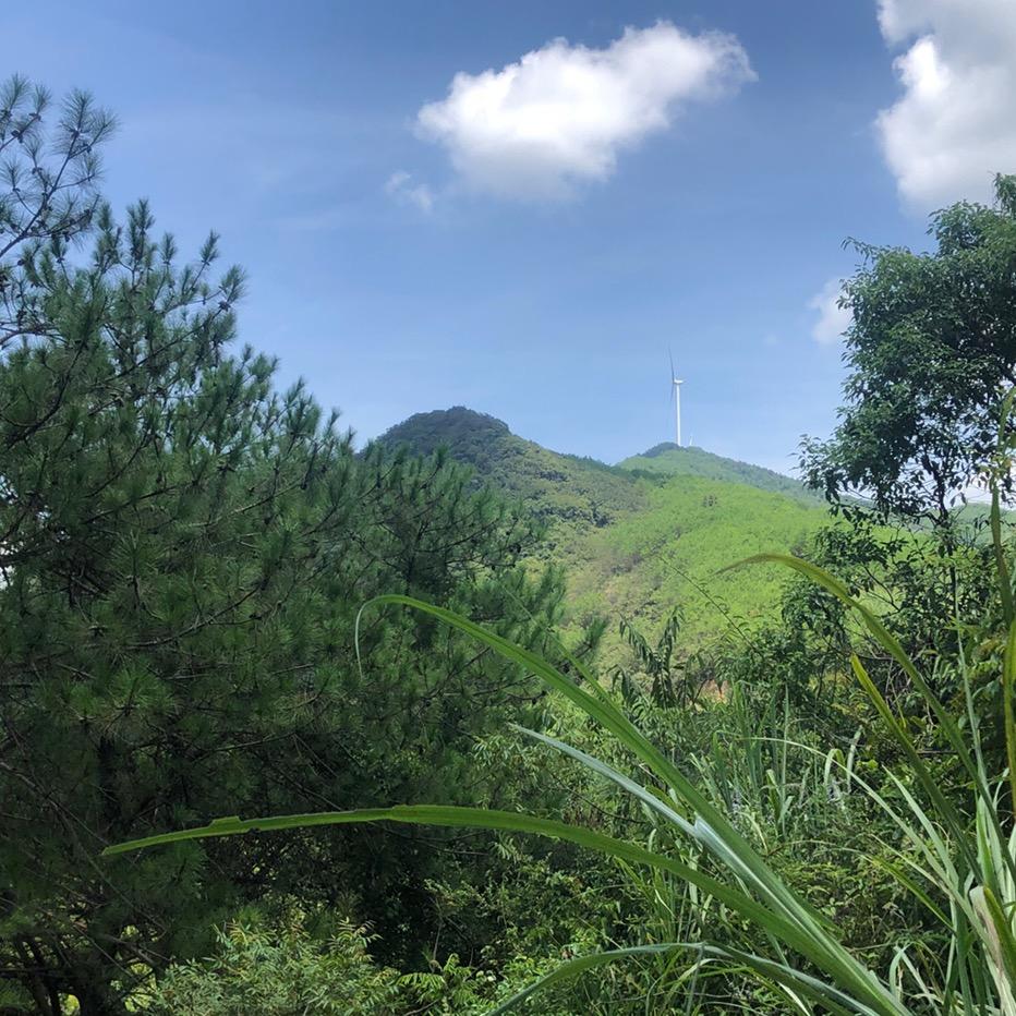 👌(ﾟ▽ﾟ)小意思