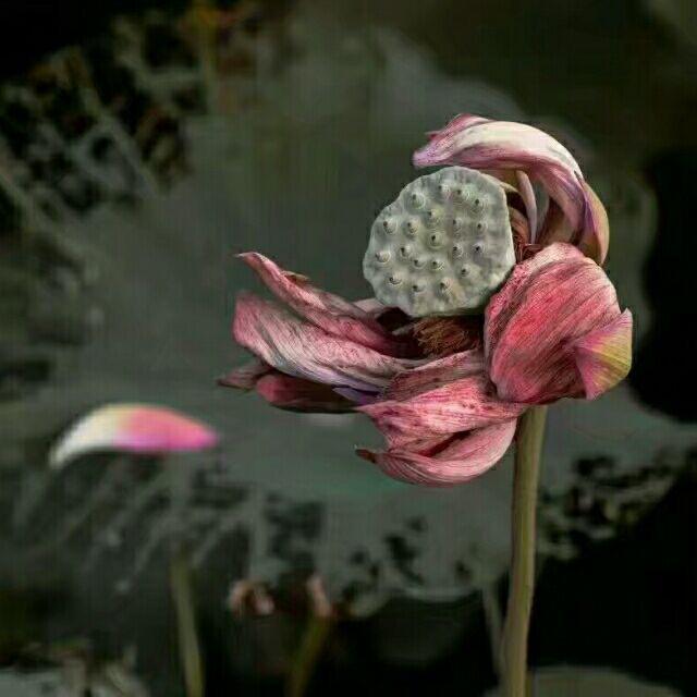 刻石铭心___小袁