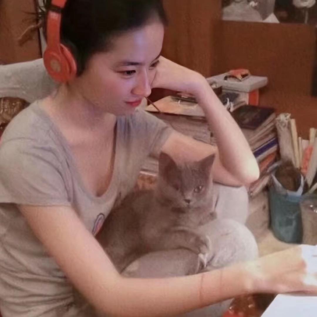 财神爷的小宝贝