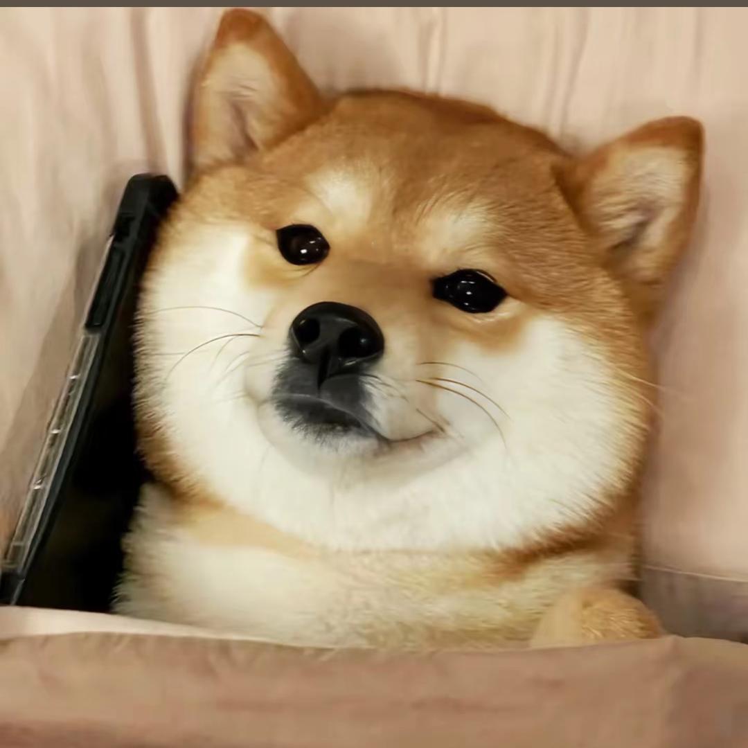 小泽带你逛狗市！