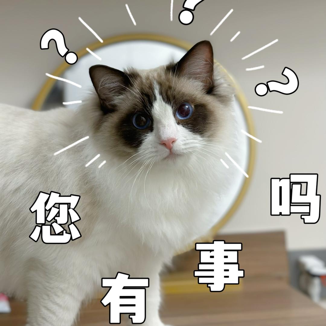 圆圆不圆