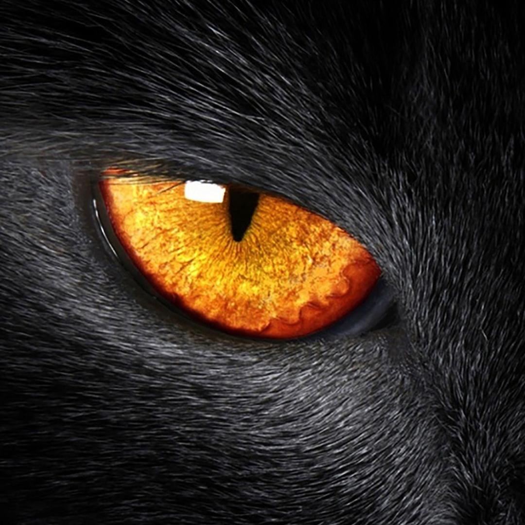 His