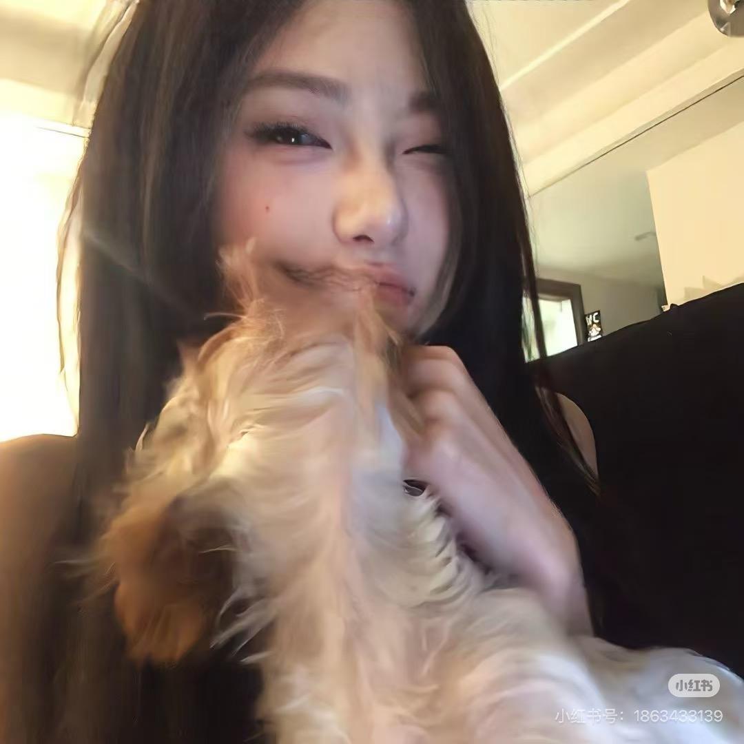 鲨鱼🐬