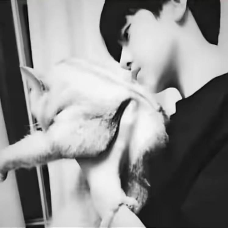 沉默是金ㅤ      ㅤㅤ