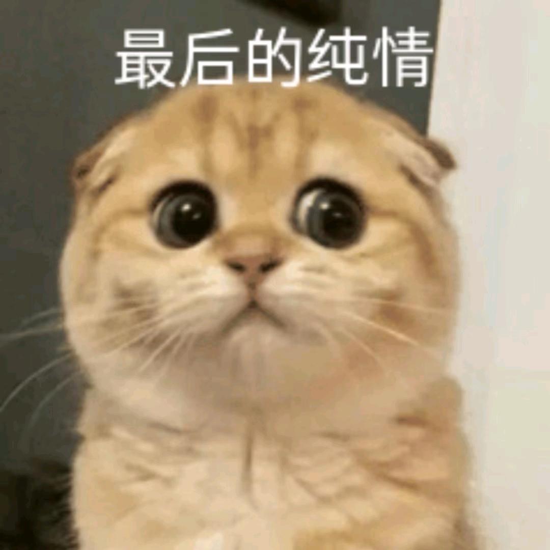 6..