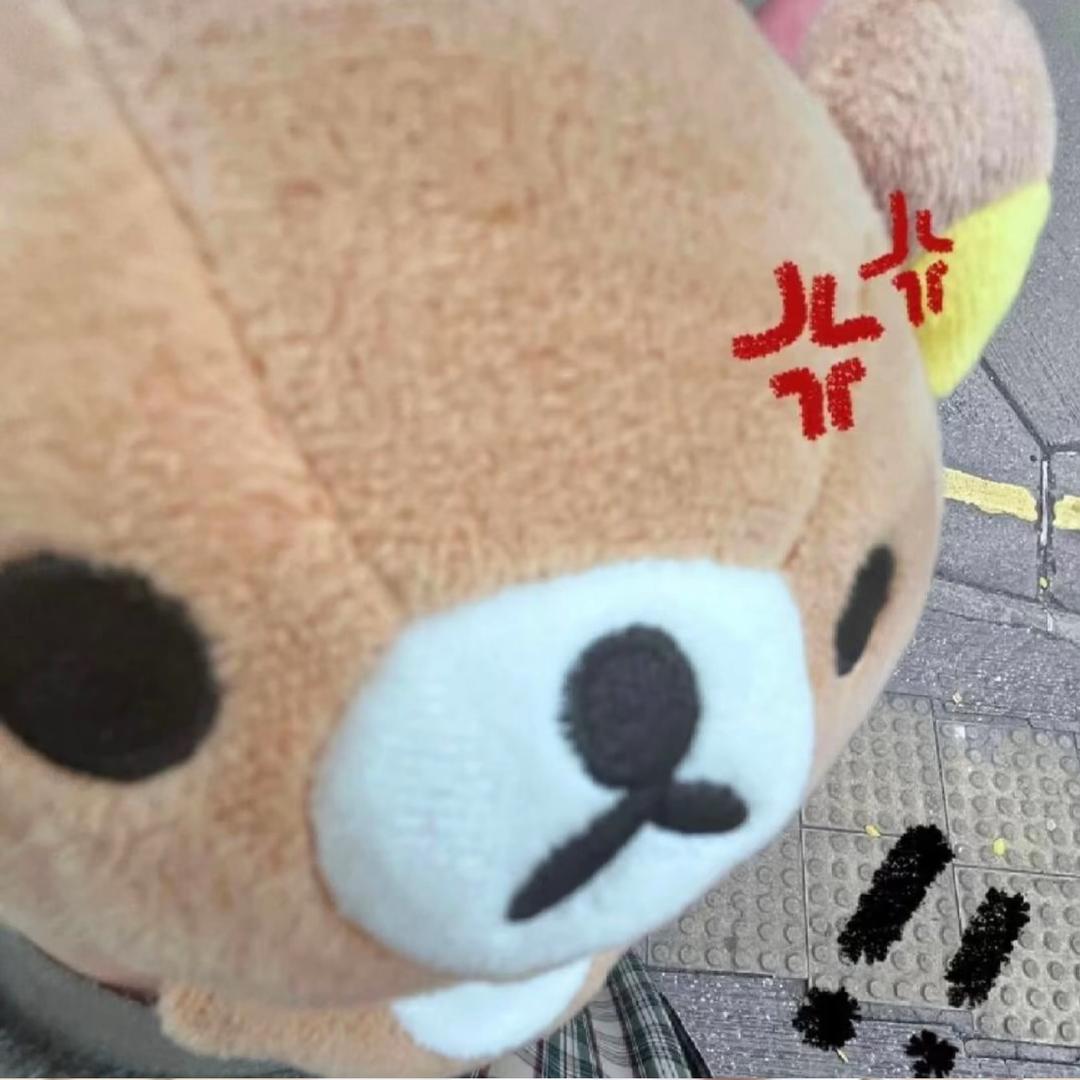 那真是太可惜了