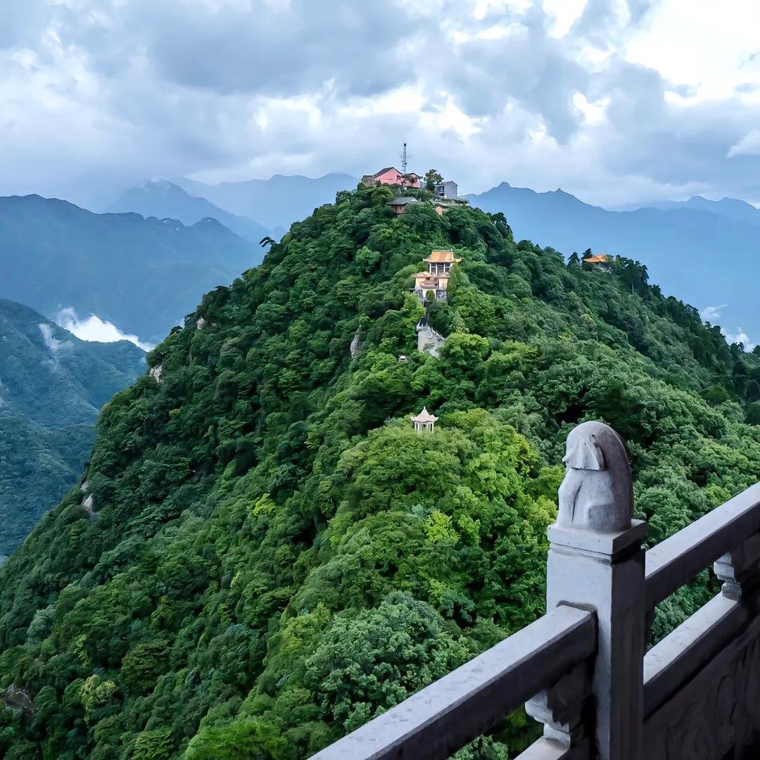 终南-法松-泡最