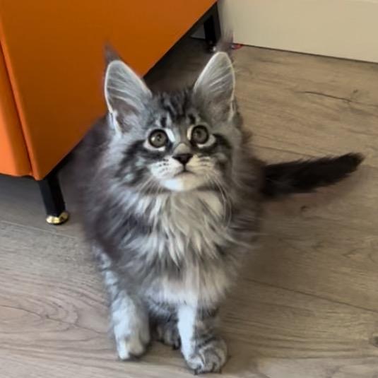 饼干不是小饼干